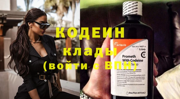прущая мука Ельня