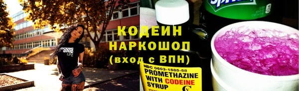 дживик Елабуга
