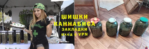 прущая мука Ельня