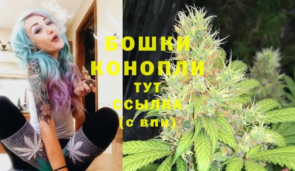 дживик Елабуга