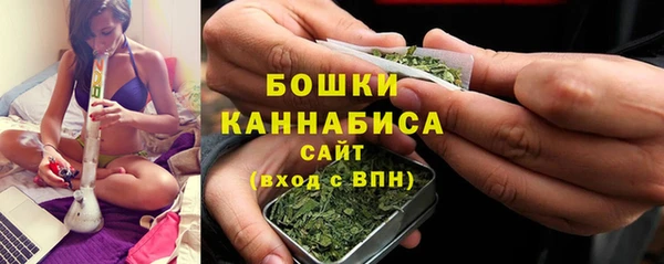 дживик Елабуга