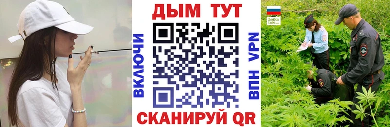 МАРИХУАНА сатива  Купить закладки  Суровикино 